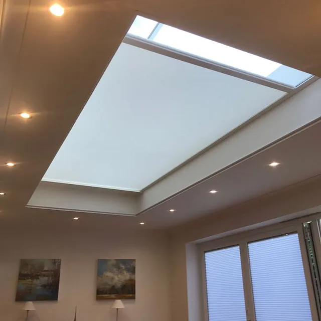 Skylight Blind